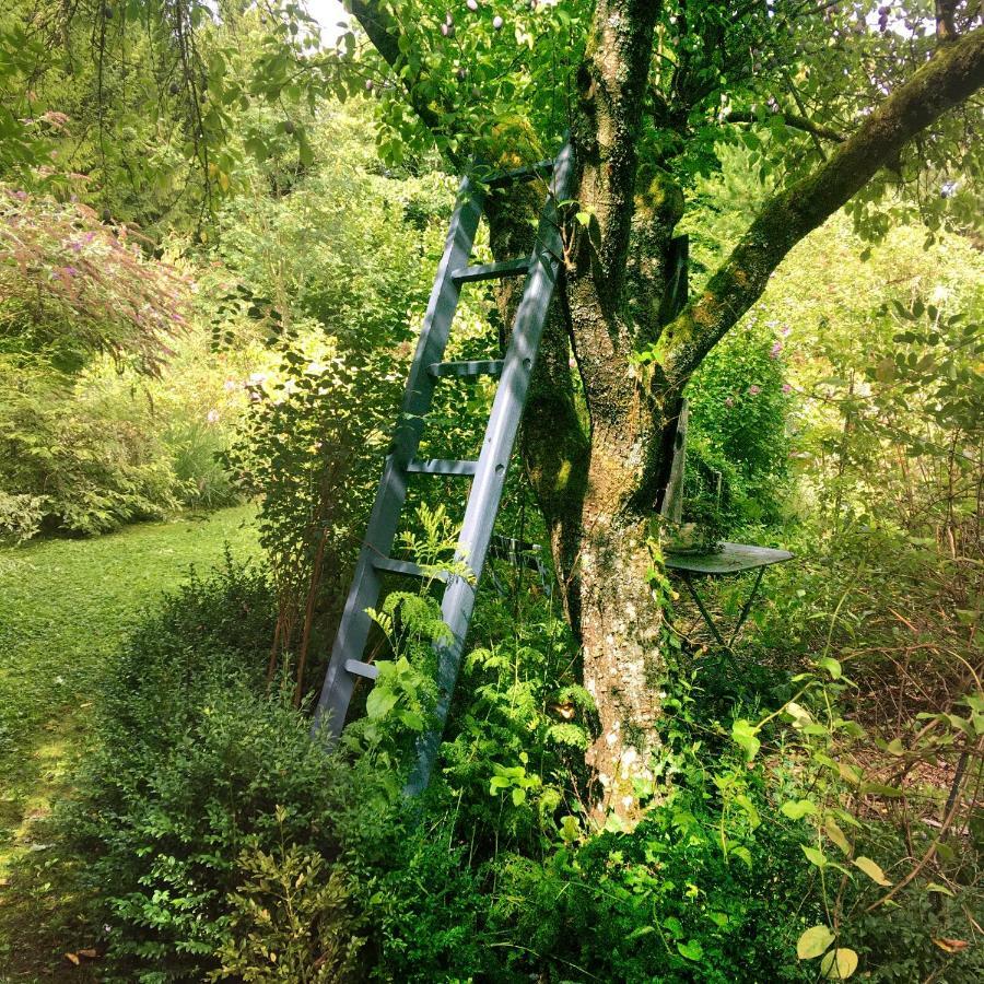 Les Insolites Watronville Exteriér fotografie